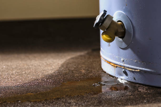 Best 24/7 water damage repair  in Norco, CA
