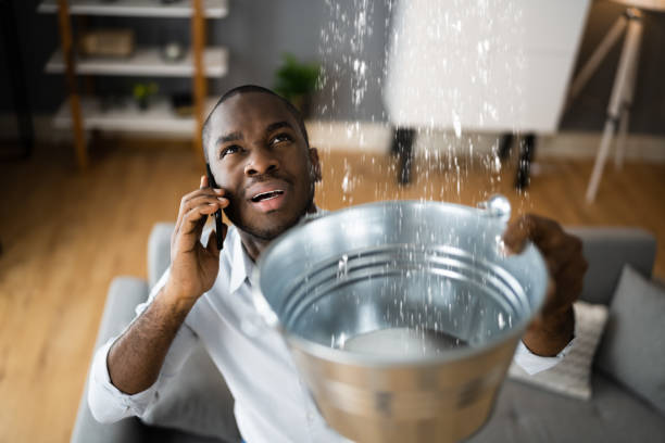 Best Basement water damage restoration  in Norco, CA