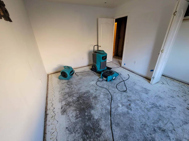 Best Carpet water damage restoration  in Norco, CA