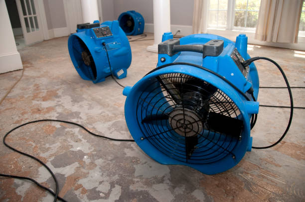 Best Mold removal after water damage  in Norco, CA