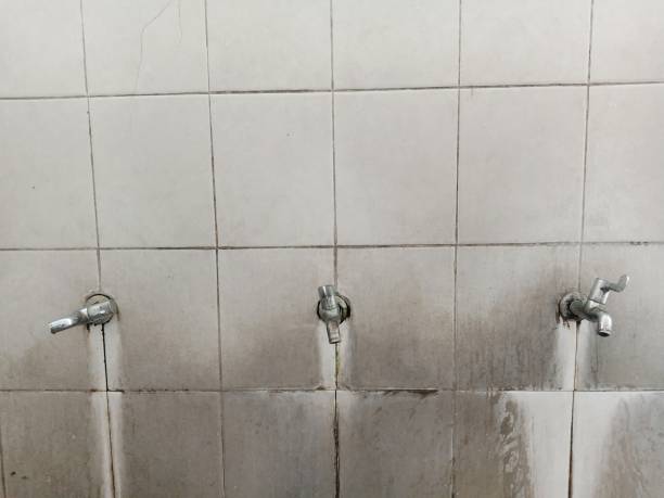  Norco, CA Water damage restoration Pros
