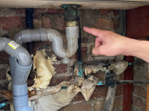 Best Water damage restoration mold remediation  in Norco, CA